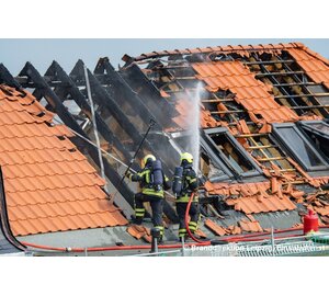 Stoß- und Einreißhaken leicht, 2-teilig mit Verlängerung und D-Griff Einsatz | © MUNK GmbH