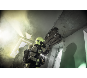 Stoß- und Einreißhaken leicht, 2-teilig mit Verlängerung und D-Griff Image | © MUNK GmbH