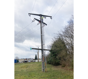 Sprouted double-barred fattening ladder | © MUNK GmbH Sprouted double-barred fattening ladder | © MUNK GmbH