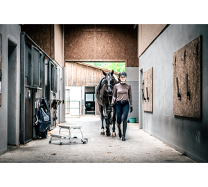 Aufstiegshilfe starr mit Rollen | © MUNK GmbH
