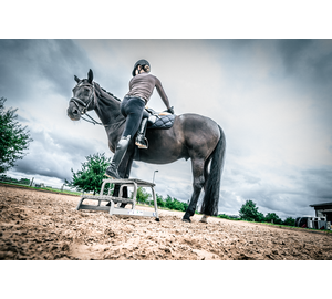 Fixed mounting aid | © MUNK GmbH