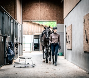 Aufstiegshilfe starr mit Rollen | © MUNK GmbH