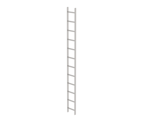Shaft ladder, st.stl. V4A, 300 mm clearance 12 rgs | © MUNK GmbH