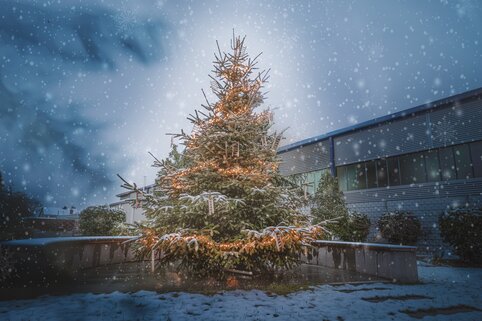 xmas | © MUNK GmbH