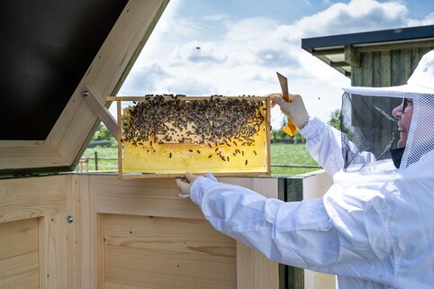 Au siège social de Günzburg, le Munk Group abrite plusieurs colonies d'abeilles. | © MUNK GmbH