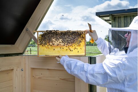 Au siège social de Günzburg, le Munk Group abrite plusieurs colonies d'abeilles. | © MUNK GmbH
