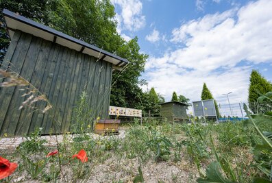 At its headquarters in Günzburg, the Munk Group is home to several bee colonies. | © MUNK GmbH