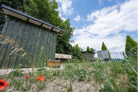 Au siège social de Günzburg, le Munk Group abrite plusieurs colonies d'abeilles. | © MUNK GmbH